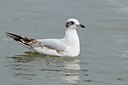 BUITEN BEELD Foto: 58667