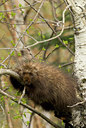 BUITEN BEELD Foto: 58675