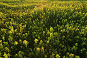 BUITEN BEELD Foto: 58691