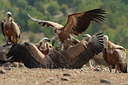 BUITEN BEELD Foto: 58694