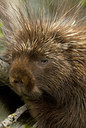 BUITEN BEELD Foto: 58715