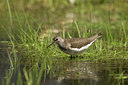 BUITEN BEELD Foto: 58716