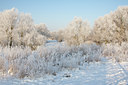 BUITEN BEELD Foto: 58719