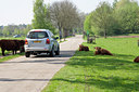 BUITEN BEELD Foto: 58731