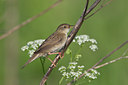 BUITEN BEELD Foto: 58747