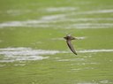 BUITEN BEELD Foto: 58763