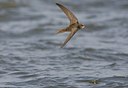 BUITEN BEELD Foto: 58770