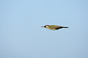 BUITEN BEELD Foto: 58789