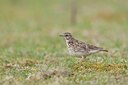 BUITEN BEELD Foto: 58860