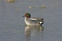 BUITEN BEELD Foto: 58904