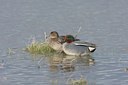 BUITEN BEELD Foto: 58905