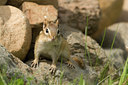 BUITEN BEELD Foto: 58997