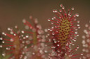 BUITEN BEELD Foto: 5068