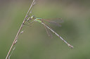 BUITEN BEELD Foto: 5138