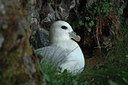 BUITEN BEELD Foto: 5251
