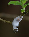 BUITEN BEELD Foto: 5284