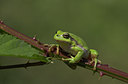 BUITEN BEELD Foto: 5490