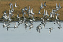 BUITEN BEELD Foto: 5656