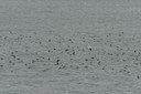 BUITEN BEELD Foto: 5819