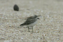 BUITEN BEELD Foto: 5830