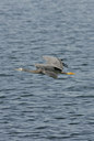 BUITEN BEELD Foto: 5834