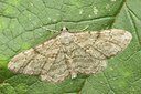 BUITEN BEELD Foto: 5956