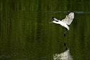 BUITEN BEELD Foto: 59043