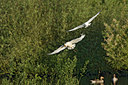 BUITEN BEELD Foto: 59071