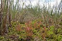 BUITEN BEELD Foto: 59109