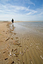 BUITEN BEELD Foto: 59134