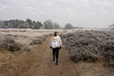 BUITEN BEELD Foto: 59160