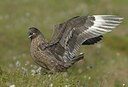 BUITEN BEELD Foto: 59210