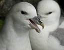 BUITEN BEELD Foto: 59211
