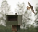 BUITEN BEELD Foto: 59233