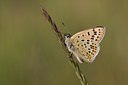BUITEN BEELD Foto: 59332