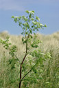 BUITEN BEELD Foto: 59453