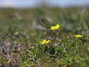 BUITEN BEELD Foto: 59467