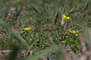 BUITEN BEELD Foto: 59468
