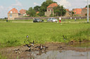 BUITEN BEELD Foto: 59505