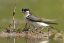 BUITEN BEELD Foto: 59508