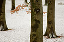 BUITEN BEELD Foto: 59552