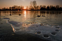 BUITEN BEELD Foto: 59553