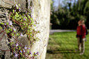 BUITEN BEELD Foto: 59609