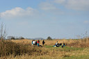 BUITEN BEELD Foto: 59664