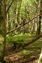 BUITEN BEELD Foto: 59671