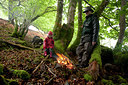BUITEN BEELD Foto: 59701