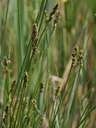 BUITEN BEELD Foto: 59743
