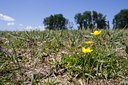 BUITEN BEELD Foto: 59760