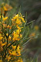 BUITEN BEELD Foto: 59851
