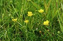 BUITEN BEELD Foto: 59903